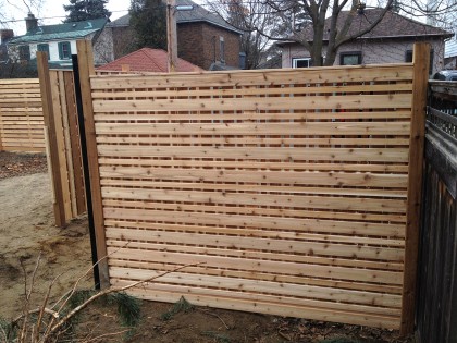 Western Red Cedar 12