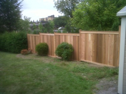 Western Red Cedar