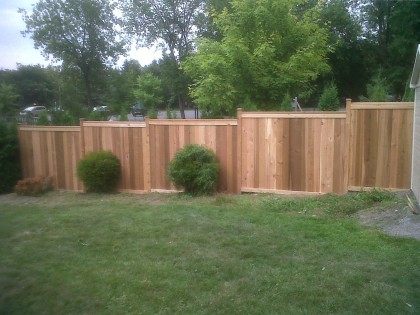 Western Red Cedar 15