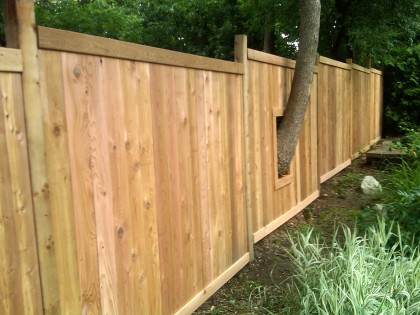 Western Red Cedar 22