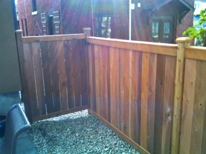 Western Red Cedar 26