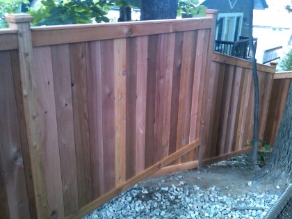 Western Red Cedar 27